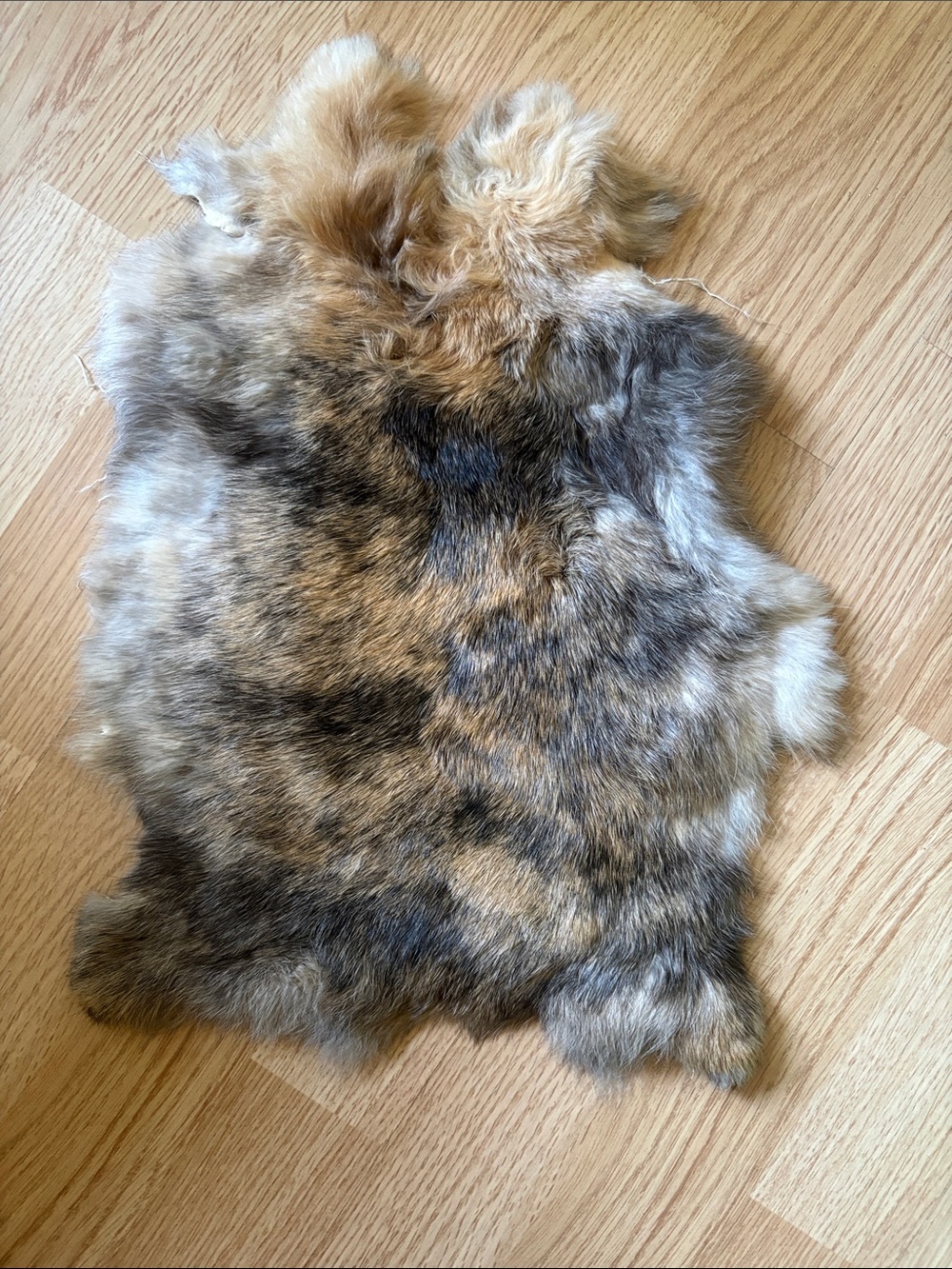 B0108 rabbit pelt